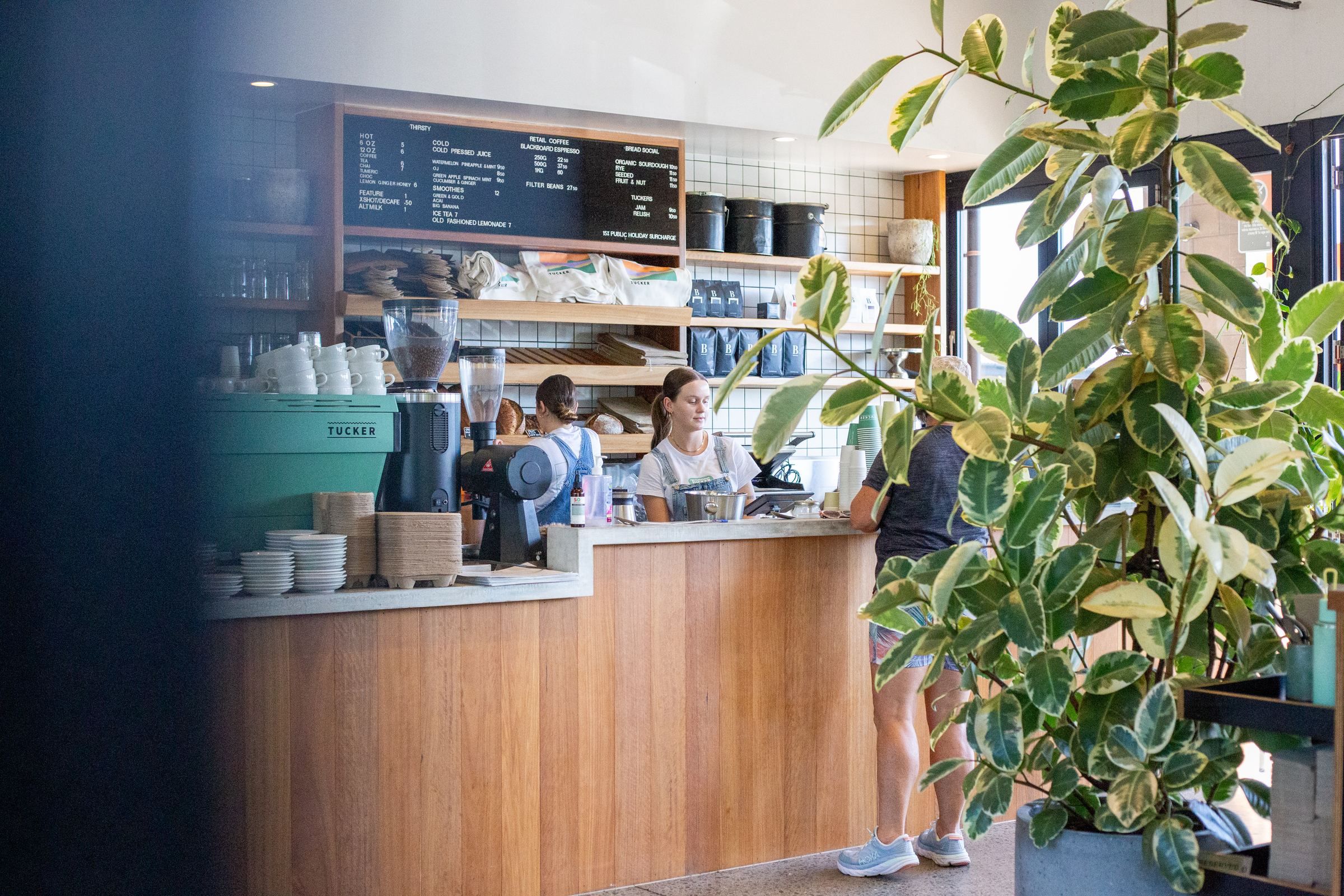 The Tucker counter seen through the plants